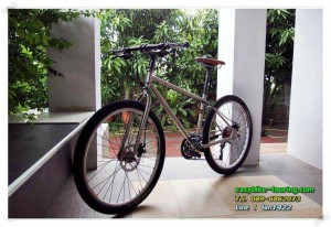 不一樣的風景---DARKROCK在泰國