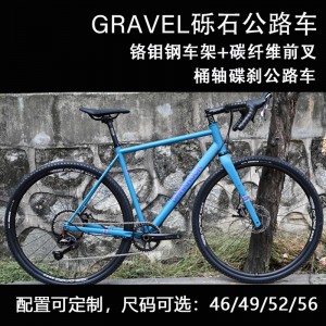 DARKROCK AMPIL 越野公路車