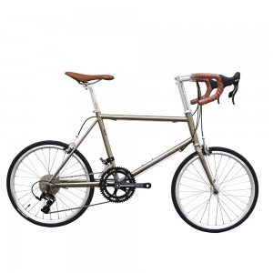 DARKROCK DR451小輪公路車（藍圖R9版）