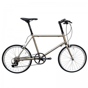 DARKROCK DR451小輪公路車（直把藍圖R7版）