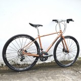 DARKROCK黑巖WUTIP碟剎公路車（4700直把版）