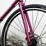 DARKROCK黑巖WUTIP碟剎公路車（順泰彎把版）