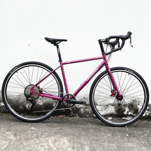 DARKROCK黑巖WUTIP碟剎公路車（順泰彎把版）