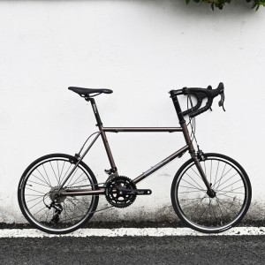 DARKROCK DR451小輪公路車（藍(lán)圖R7版）