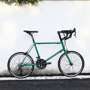 DARKROCK GONI 451小輪徑整車